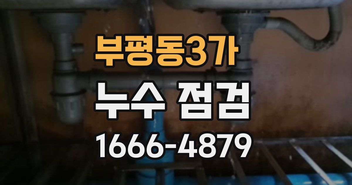 부평동3가 누수 점검
