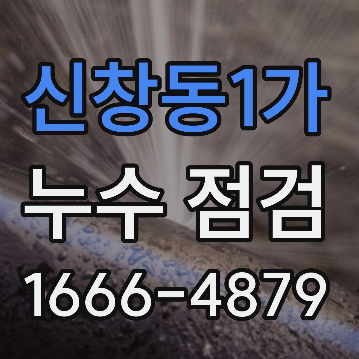 신창동1가 누수 점검