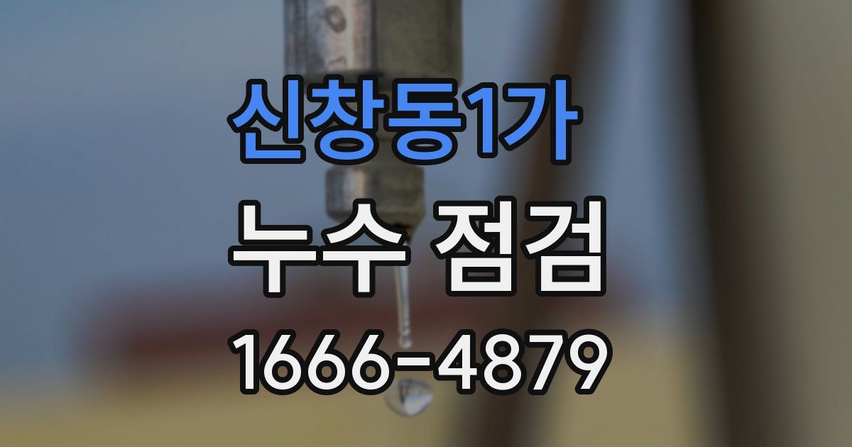 신창동1가 누수 점검
