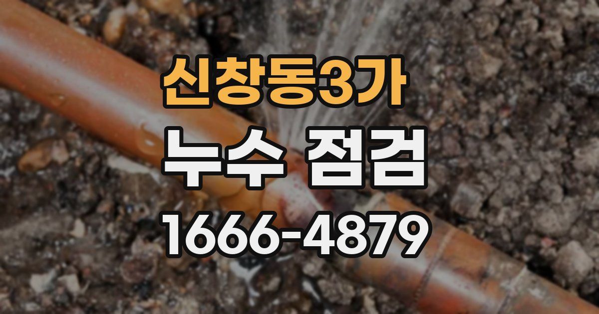 신창동3가 누수 점검