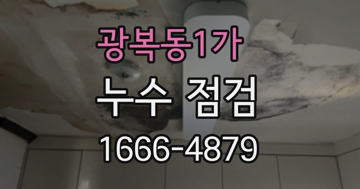 광복동1가 누수 점검