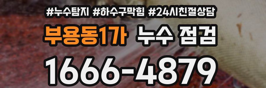 부용동1가 누수 점검