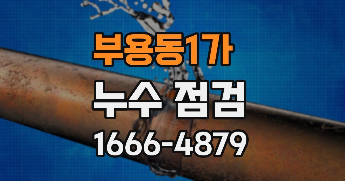 부용동1가 누수 점검