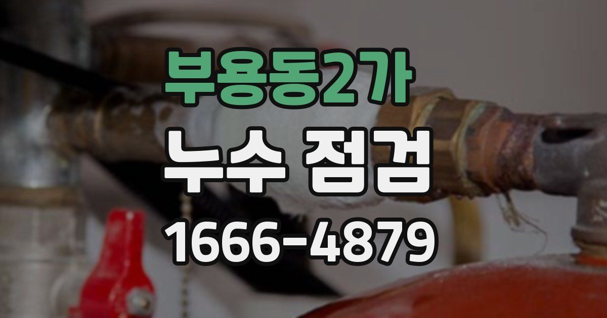 부용동2가 누수 점검