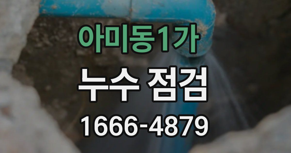 아미동1가 누수 점검