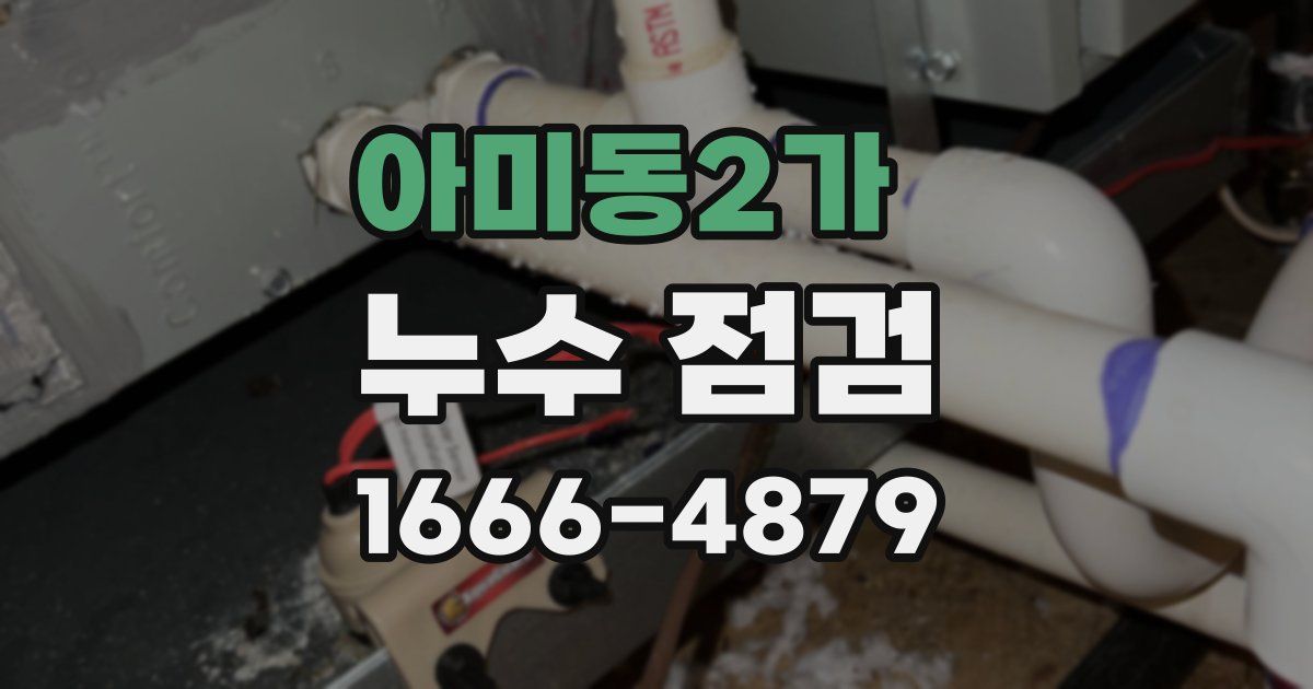 아미동2가 누수 점검