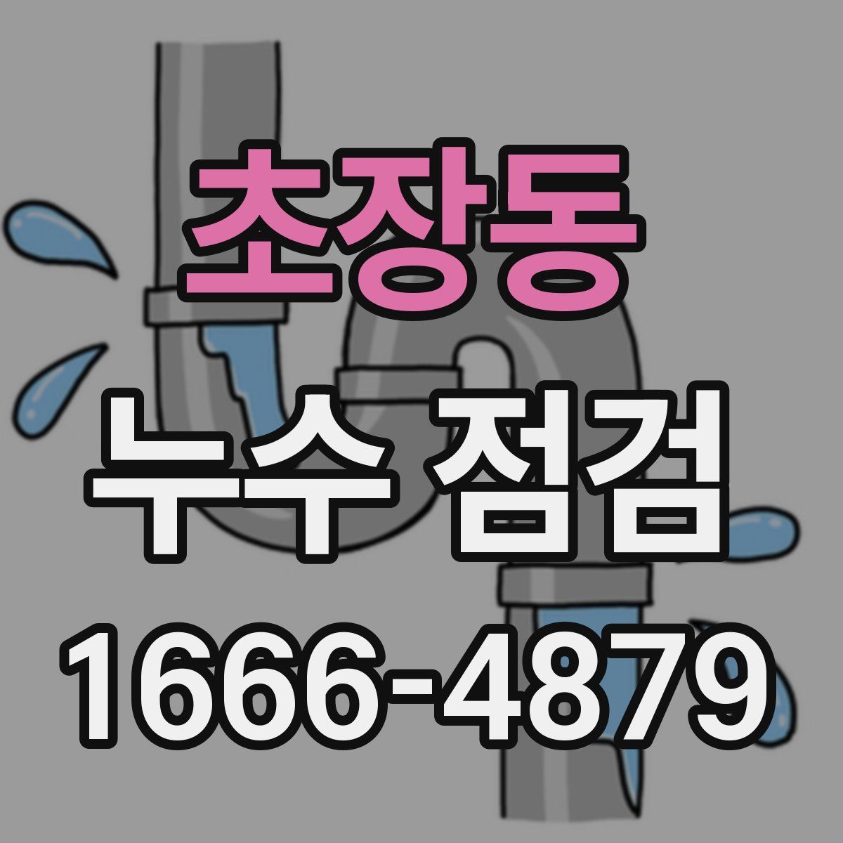 초장동 누수 점검