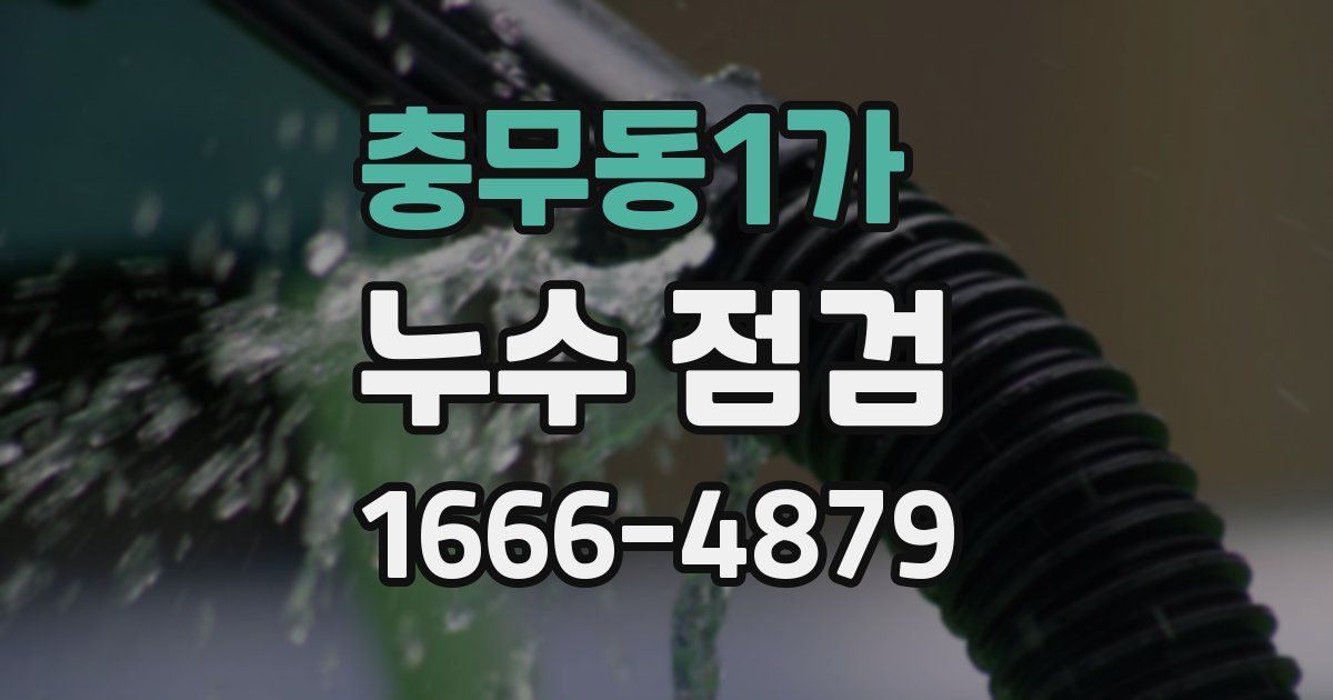 충무동1가 누수 점검