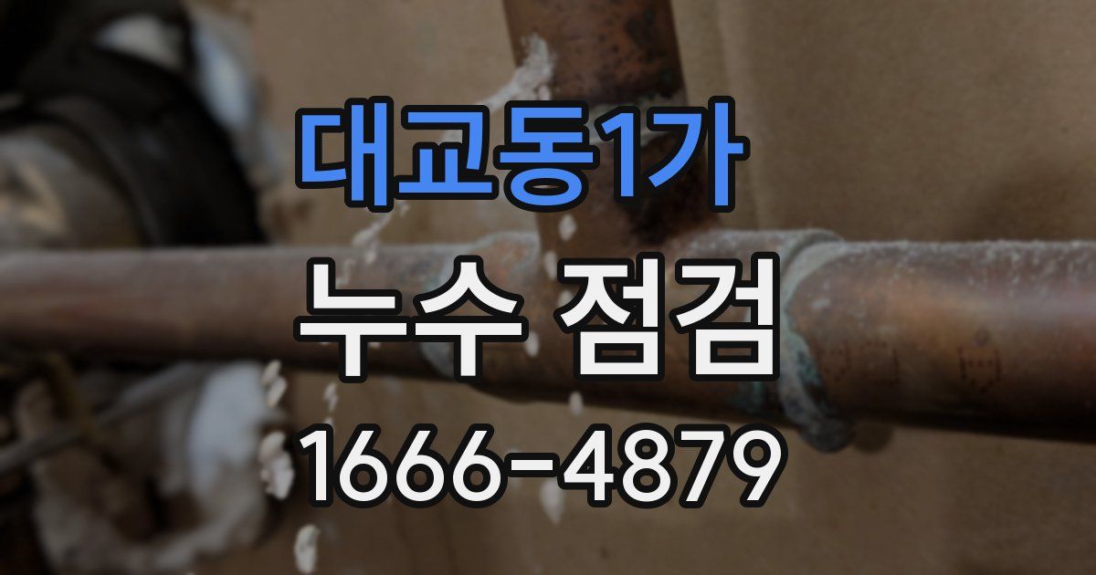 대교동1가 누수 점검