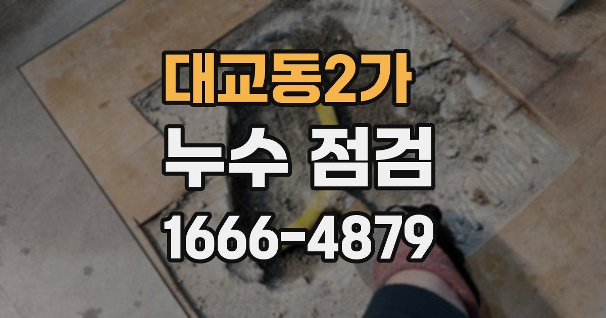 대교동2가 누수 점검
