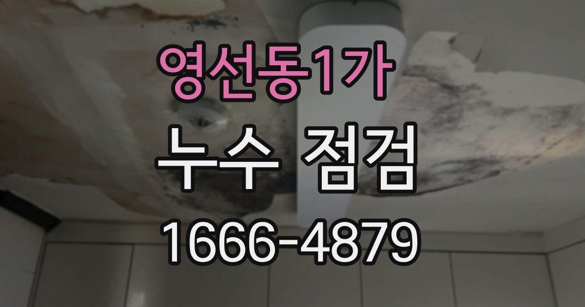 영선동1가 누수 점검