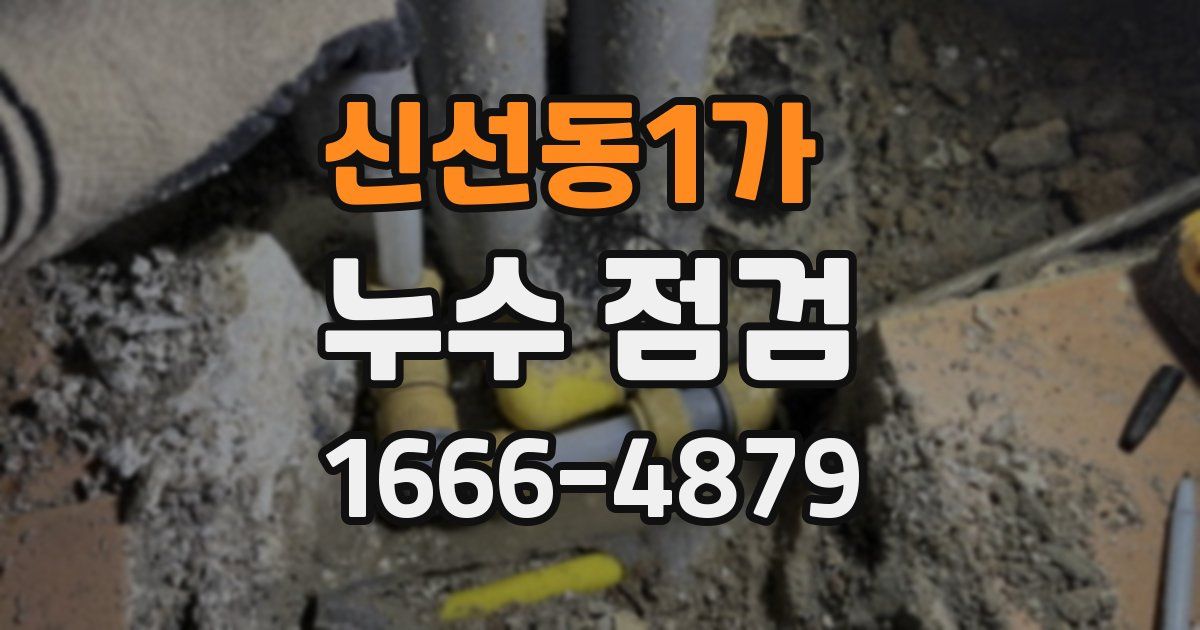신선동1가 누수 점검