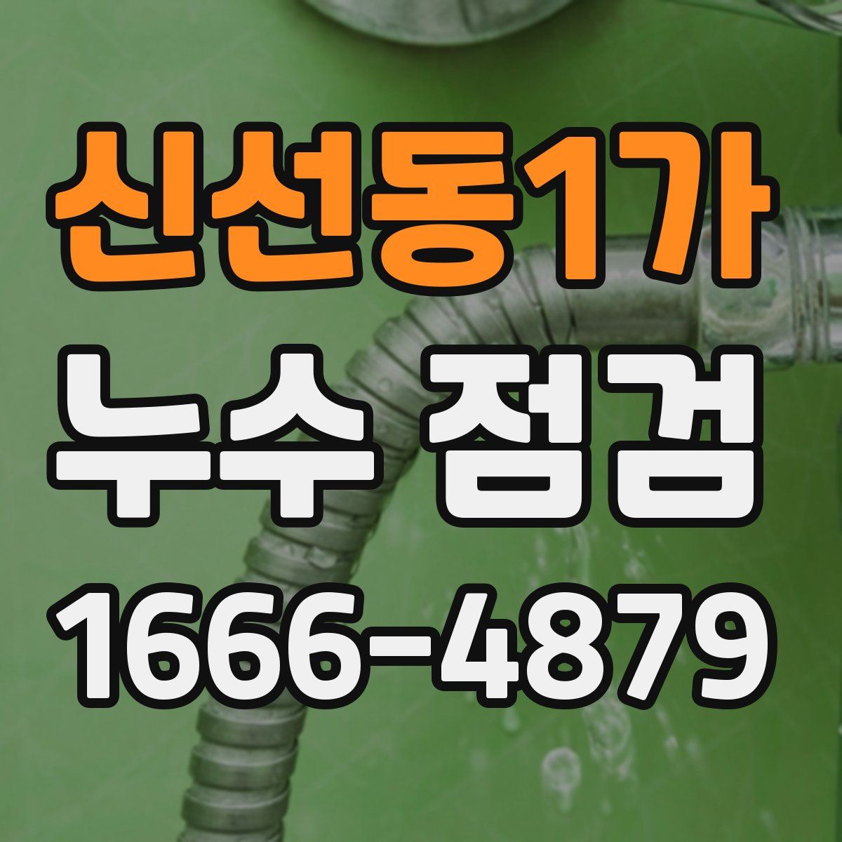 신선동1가 누수 점검