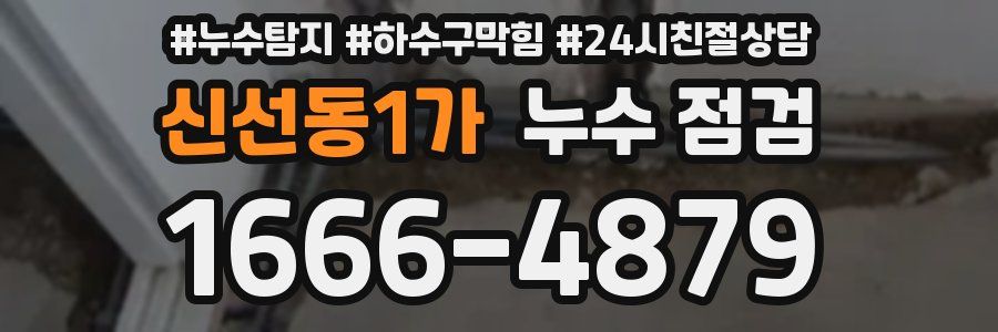 신선동1가 누수 점검