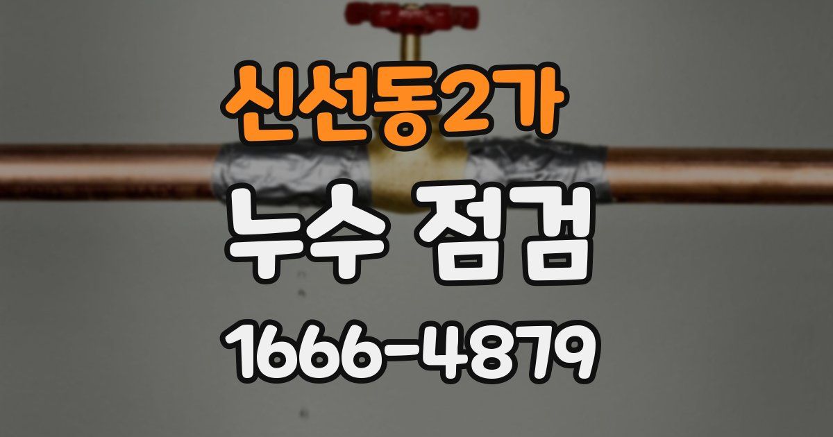 신선동2가 누수 점검