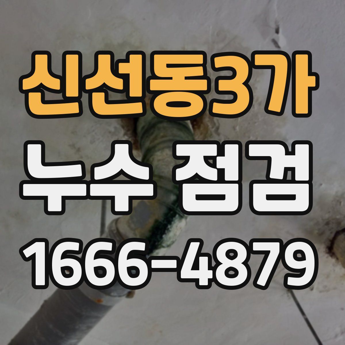 신선동3가 누수 점검
