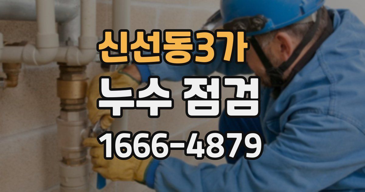 신선동3가 누수 점검
