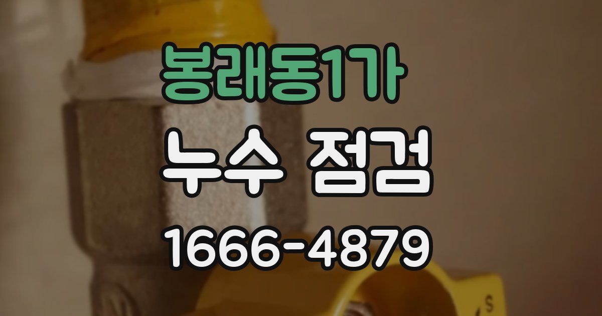봉래동1가 누수 점검