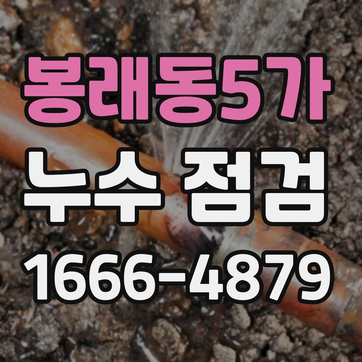 봉래동5가 누수 점검