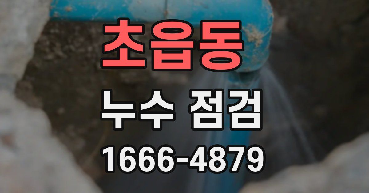 초읍동 누수 점검