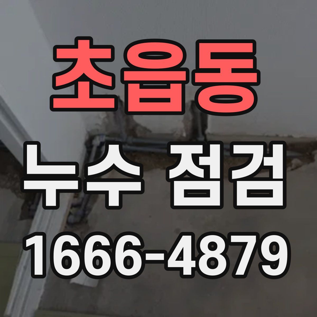 초읍동 누수 점검