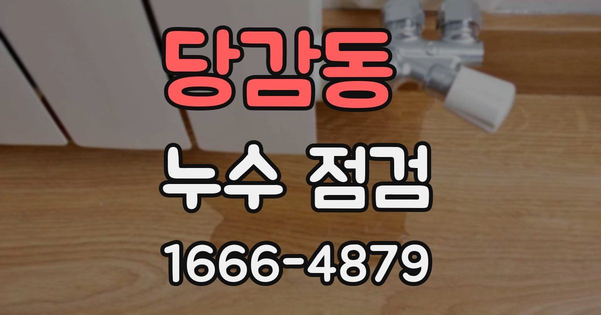 당감동 누수 점검