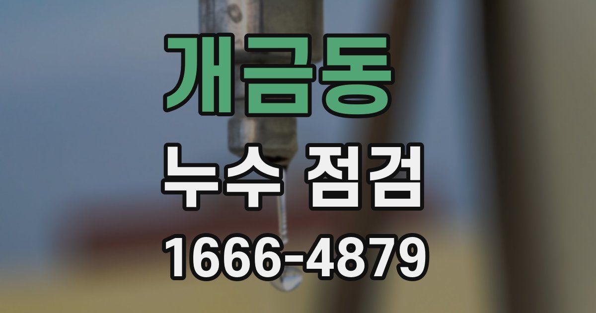 개금동 누수 점검