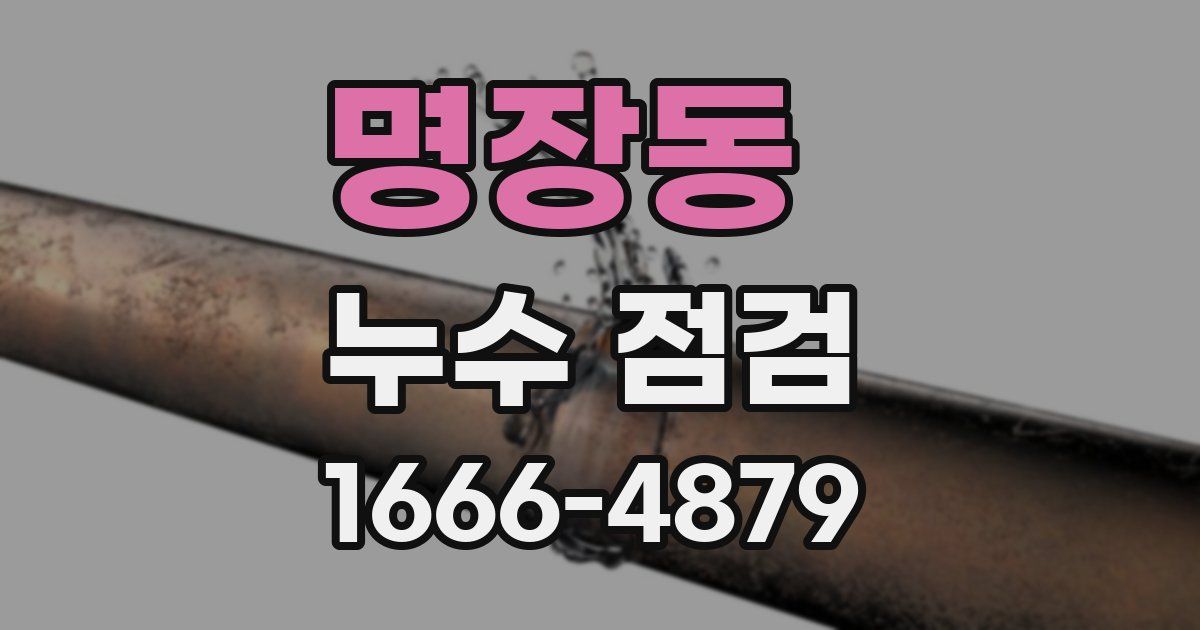 명장동 누수 점검