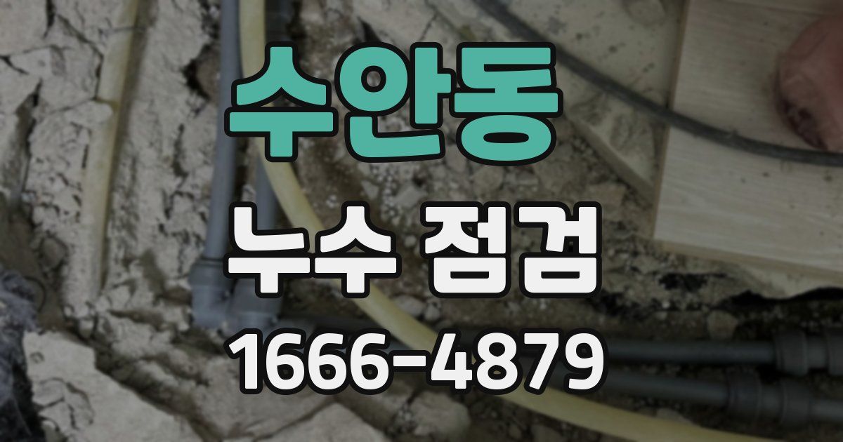 수안동 누수 점검