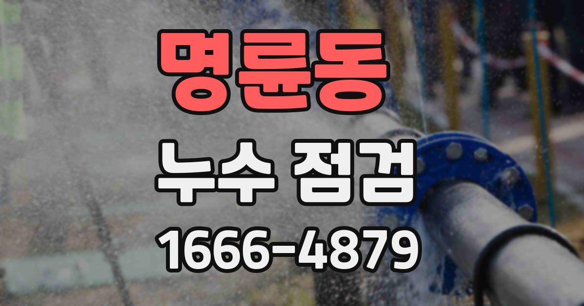 명륜동 누수 점검