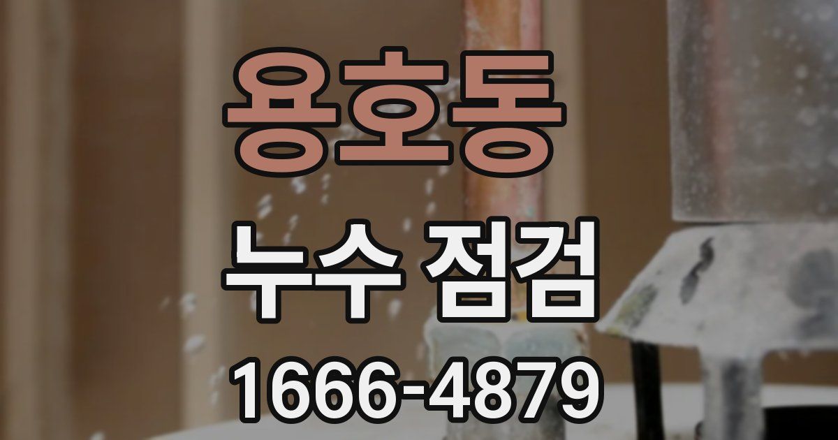 용호동 누수 점검