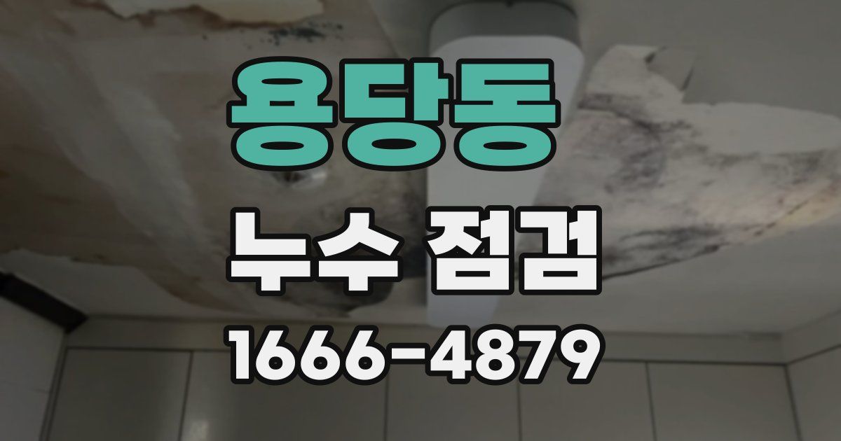 용당동 누수 점검