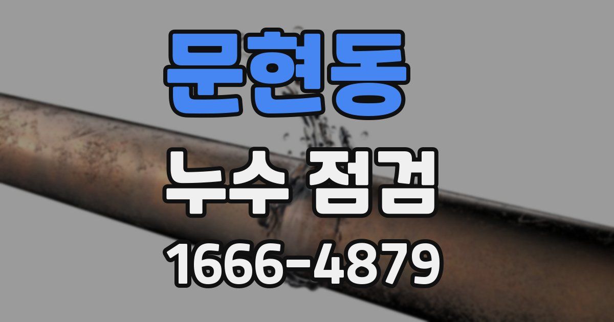 문현동 누수 점검