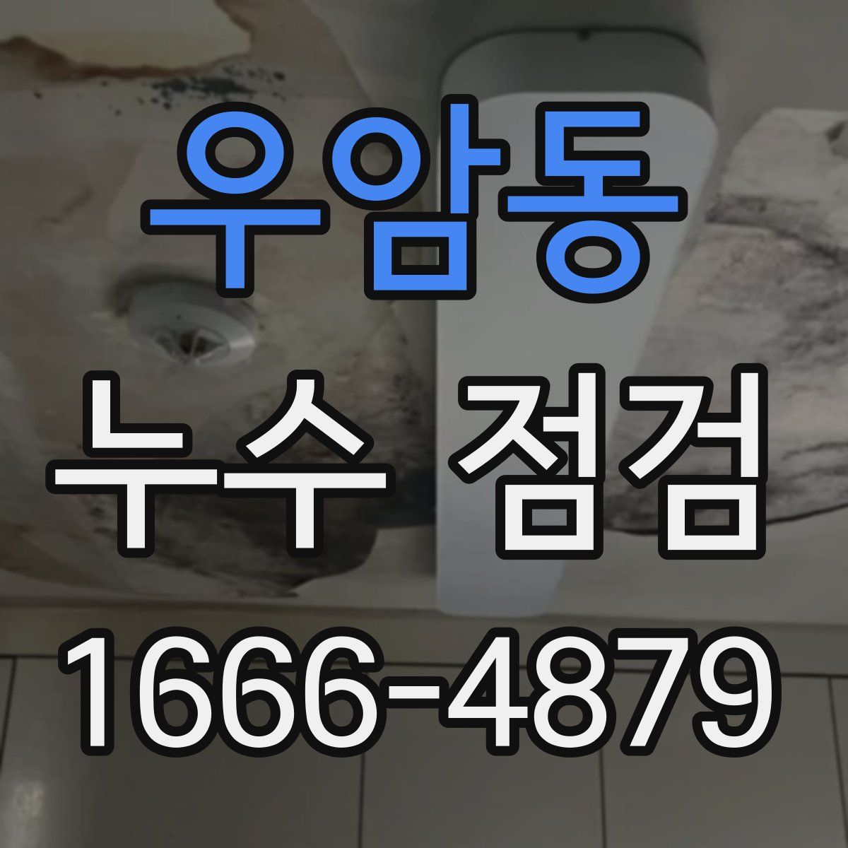 우암동 누수 점검