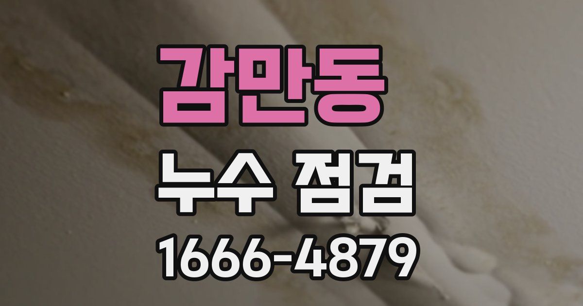 감만동 누수 점검