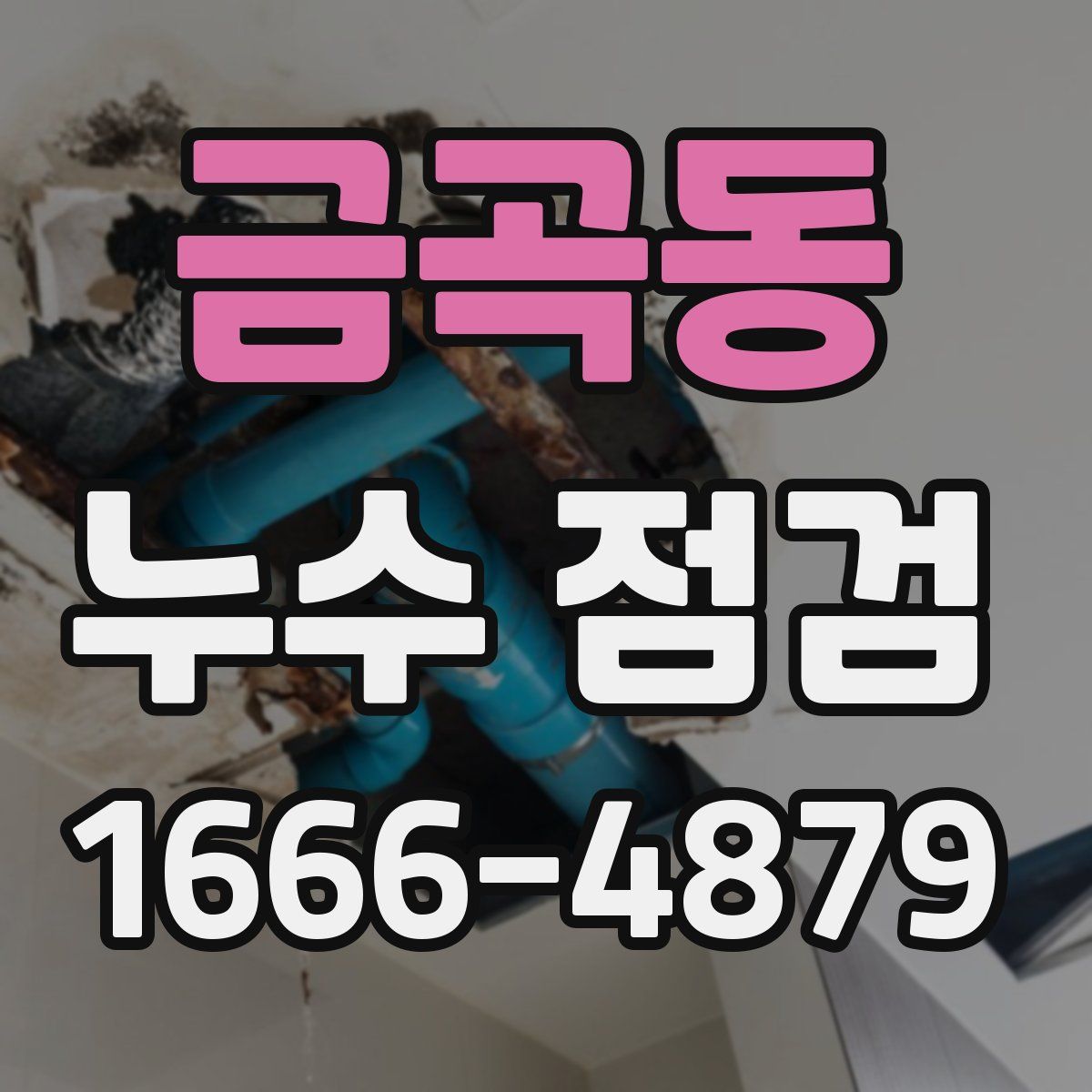 금곡동 누수 점검