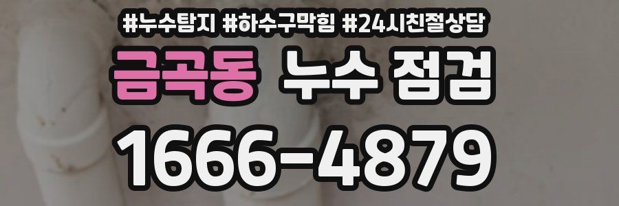 금곡동 누수 점검