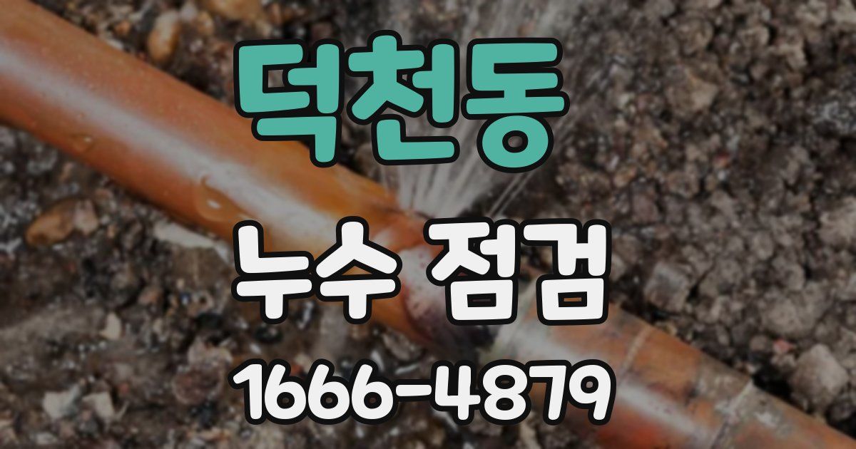 덕천동 누수 점검