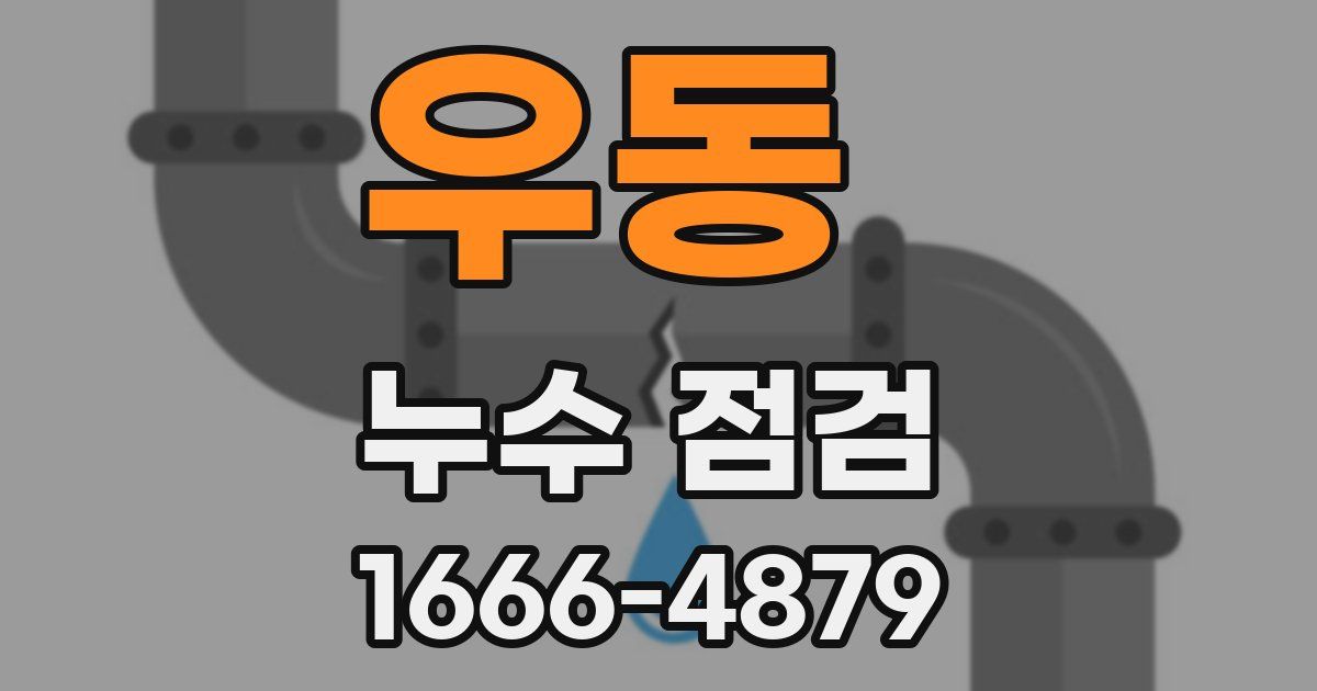 우동 누수 점검