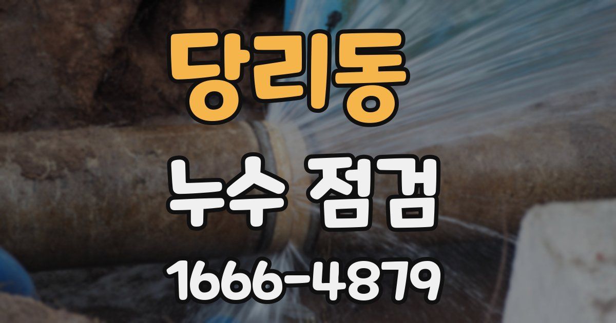 당리동 누수 점검