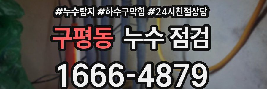 구평동 누수 점검