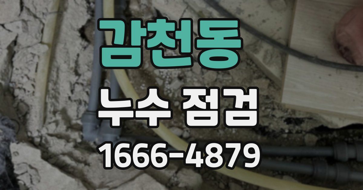 감천동 누수 점검