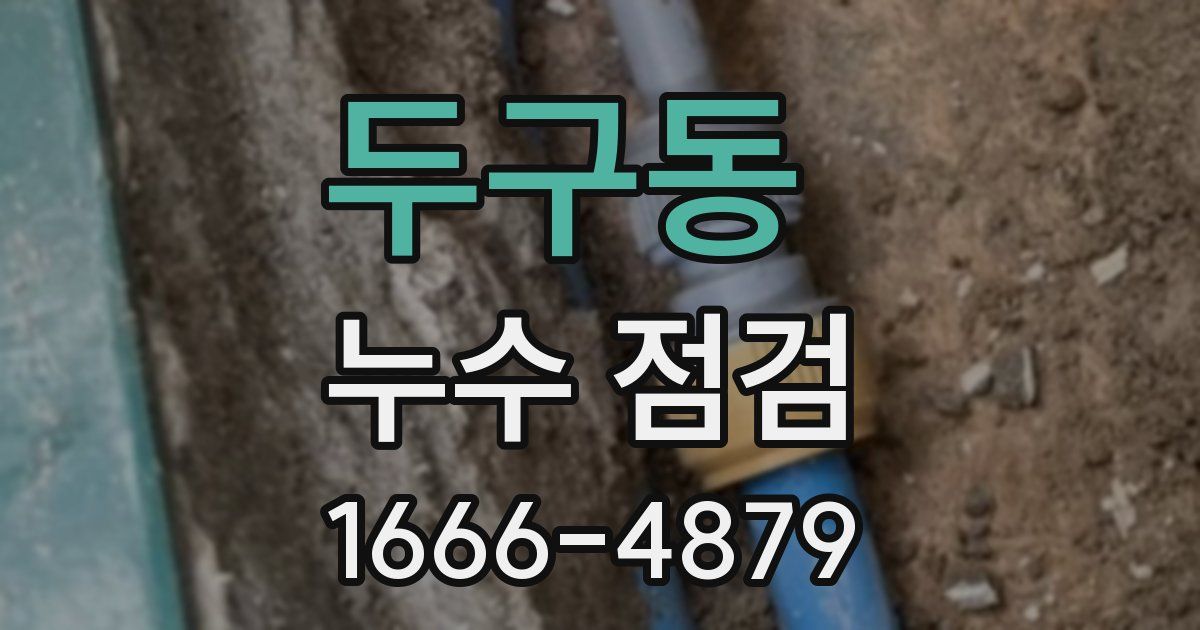 두구동 누수 점검