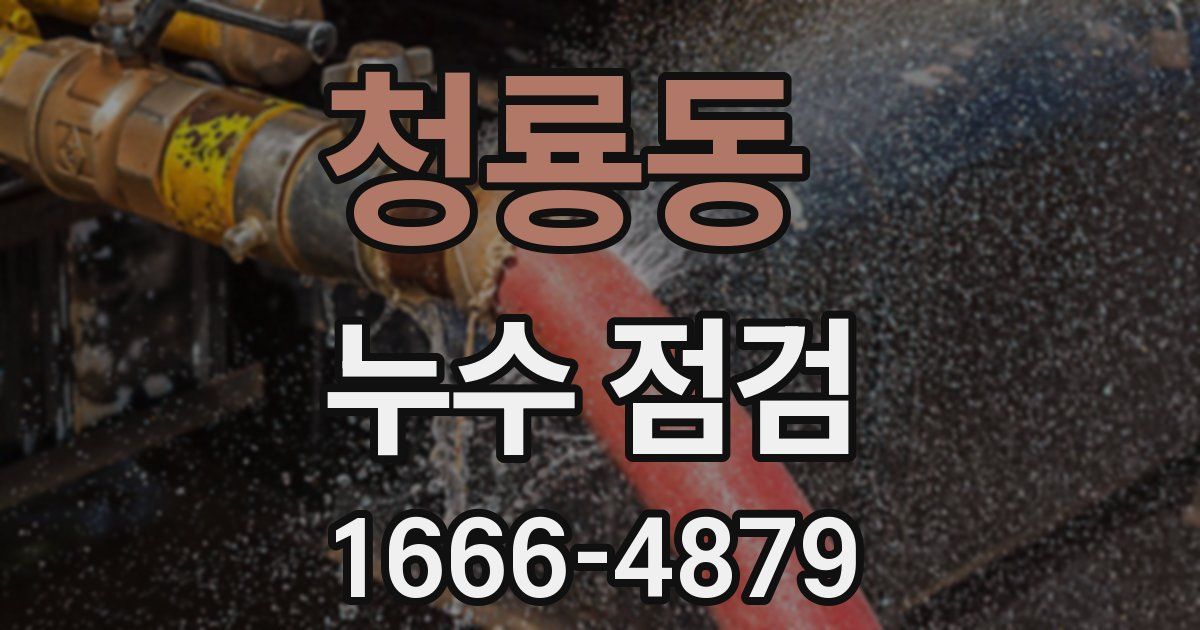 청룡동 누수 점검