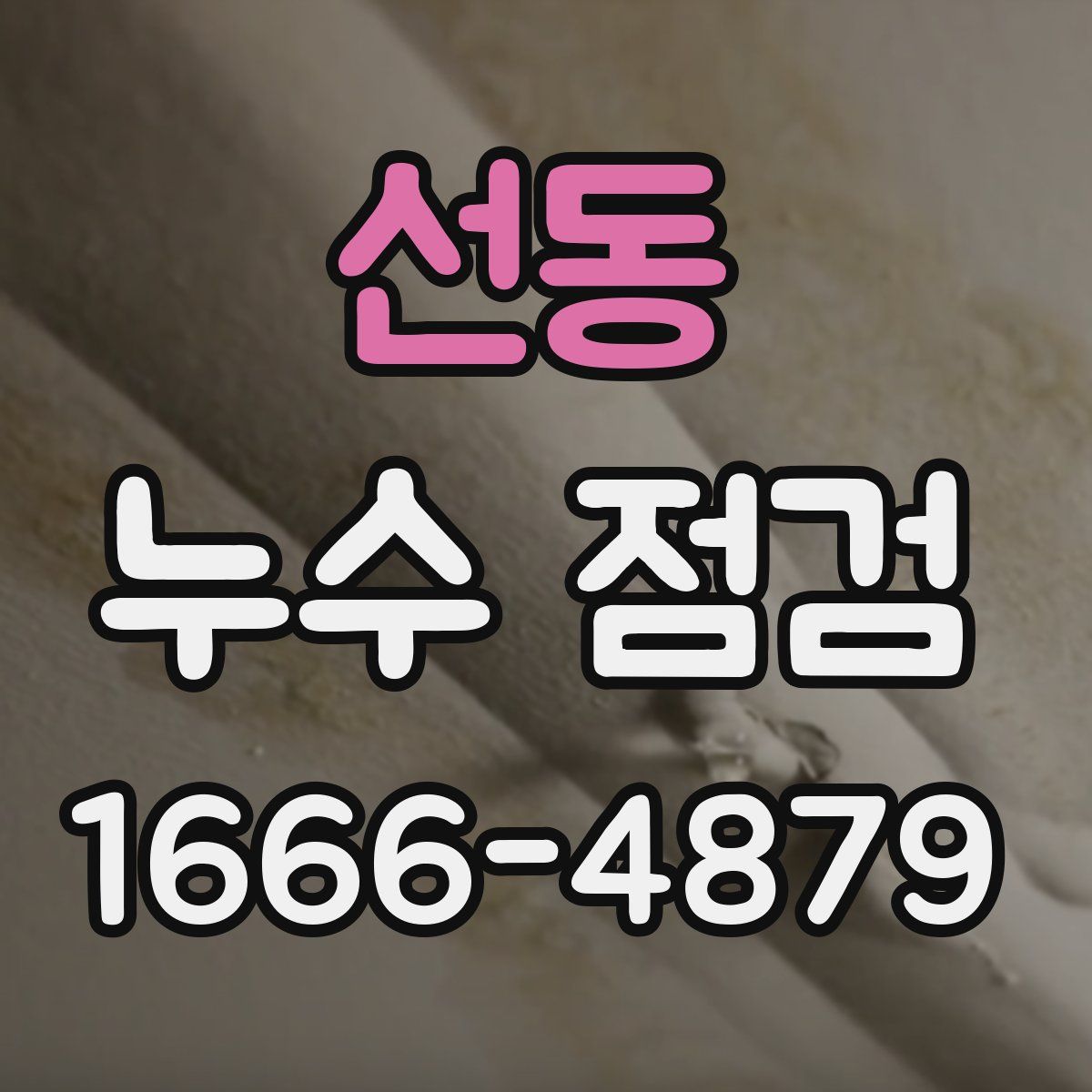 선동 누수 점검