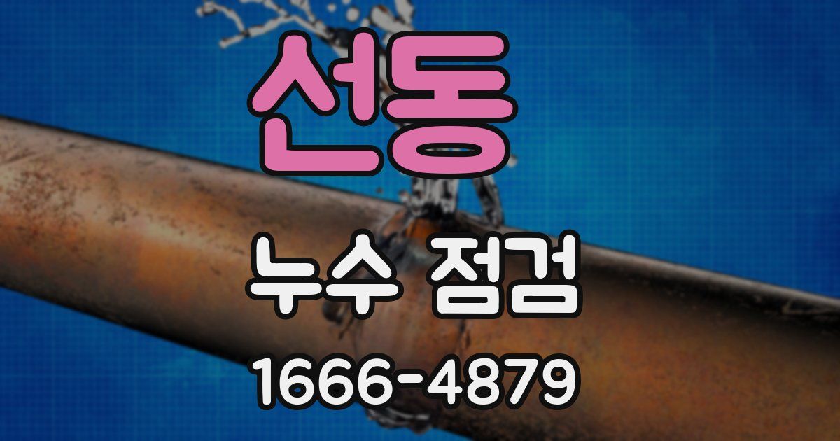 선동 누수 점검