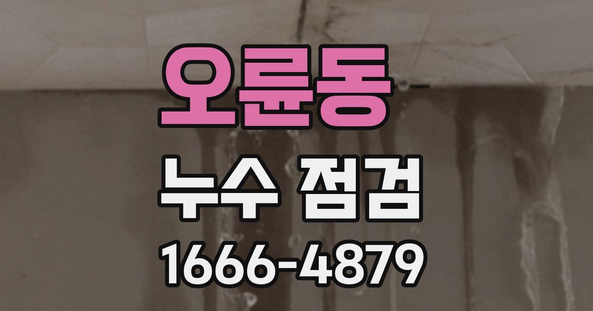 오륜동 누수 점검