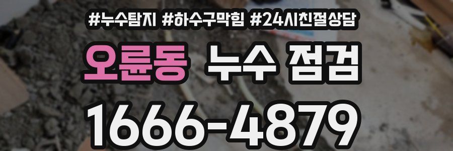오륜동 누수 점검