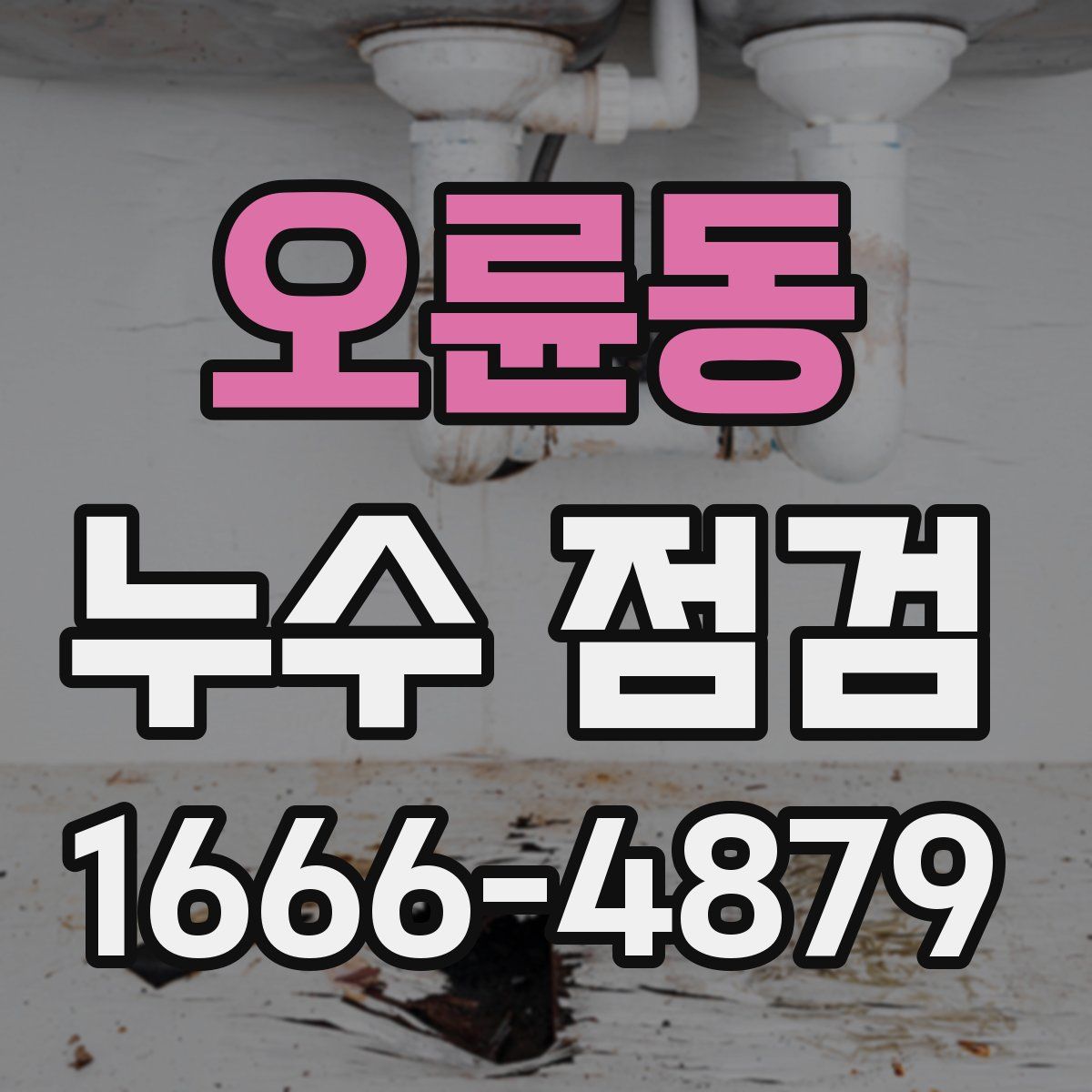 오륜동 누수 점검