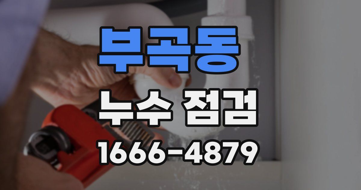 부곡동 누수 점검